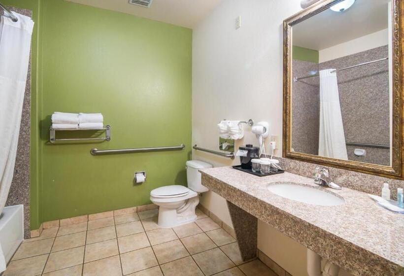 장애인을 위한 스위트, Clarion Inn & Suites Weatherford South