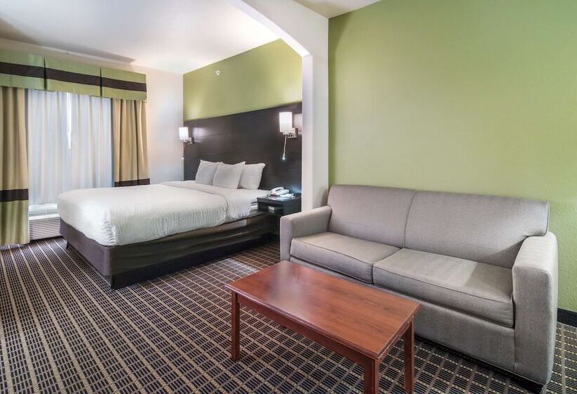 스위트, Clarion Inn & Suites Weatherford South