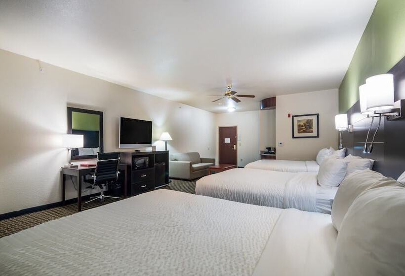스위트, Clarion Inn & Suites Weatherford South
