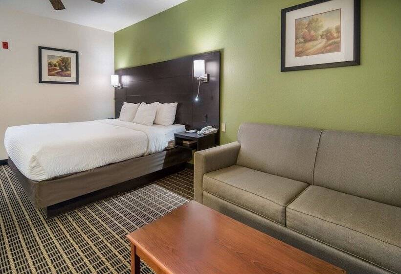 장애인을 위한 스위트, Clarion Inn & Suites Weatherford South