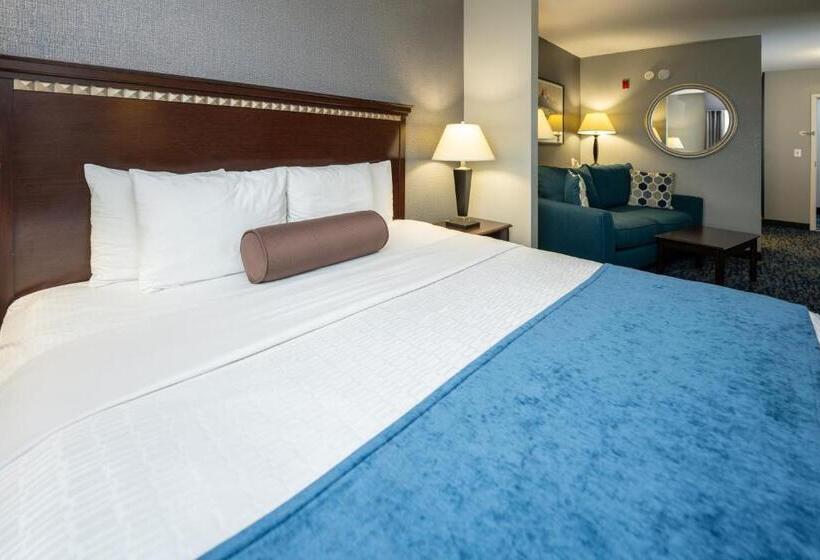 Люкс Адаптированный для Инвалидов, Comfort Suites Seabrook - Kemah