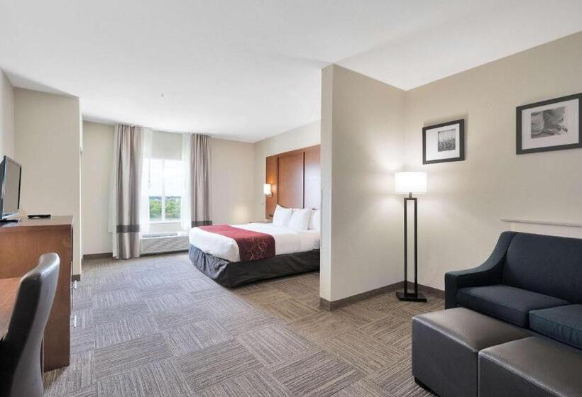 سوئیت برای معلولان, Comfort Suites University