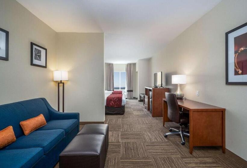 سوئیت برای معلولان, Comfort Suites University