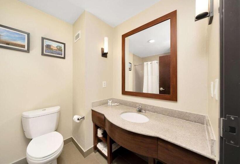 سوئیت با تخت بزرگ, Comfort Suites University