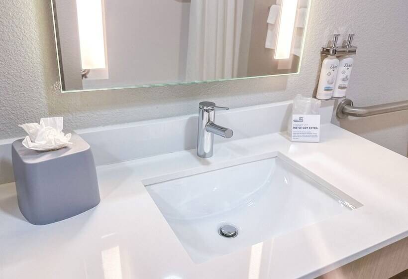 Люкс, Holiday Inn Express Hotel & Suites Ennis, An Ihg
