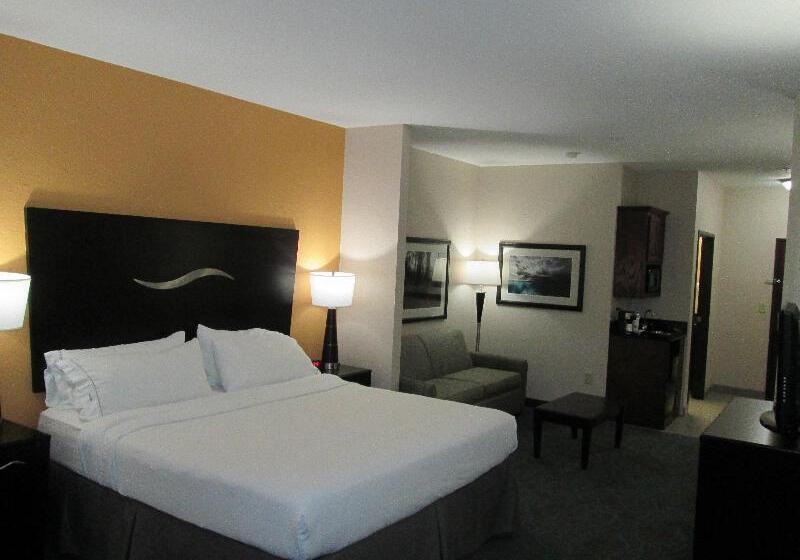Люкс, Holiday Inn Express Hotel And Suites Fort Stockton, An Ihg