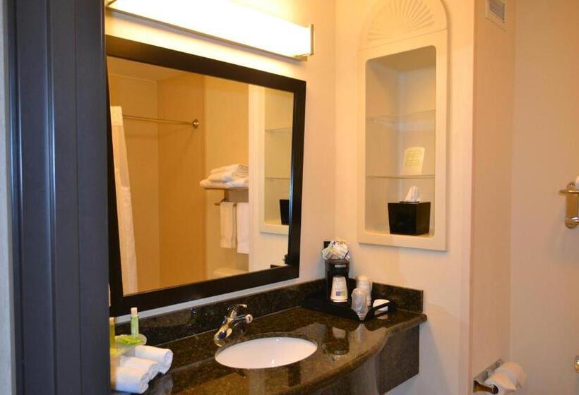 Стандартный Номер Кровать Кинг, Holiday Inn Express Hotel And Suites   Odessa, An Ihg