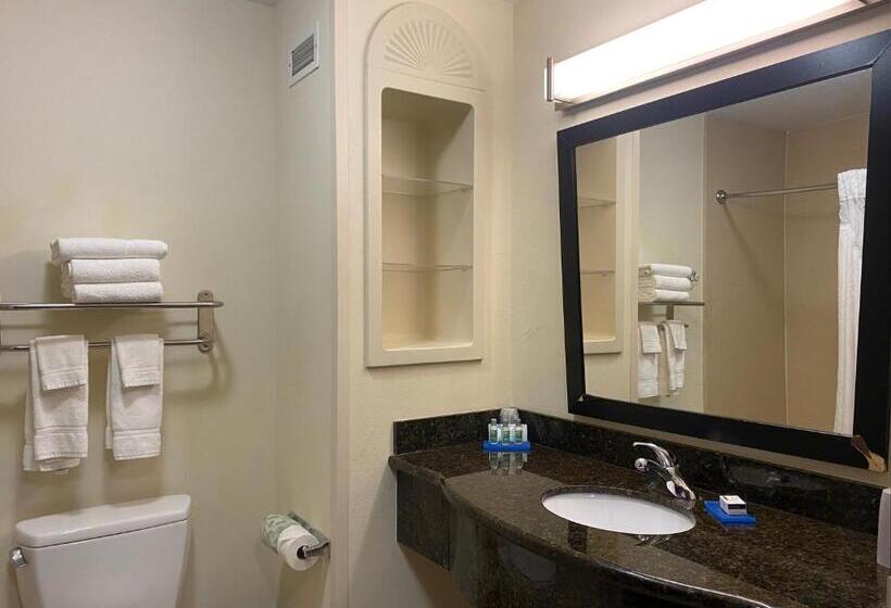 Номер Deluxe, Holiday Inn Express Hotel And Suites   Odessa, An Ihg