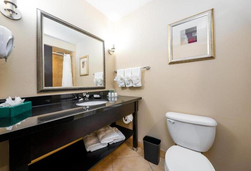 带大床的标准间, Holiday Inn Temple   Belton, An Ihg