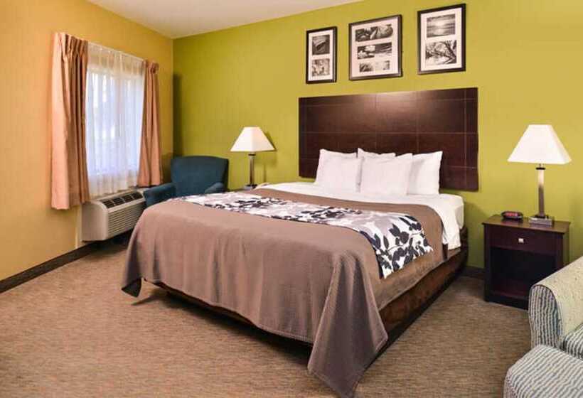 スイート, Sleep Inn And Suites Downtown Houston