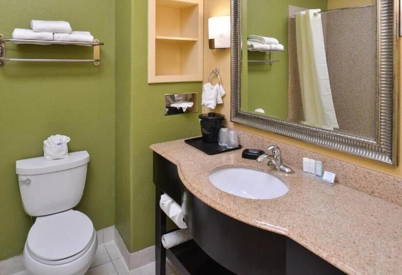 キングサイズベッドのスタンダードルーム, Sleep Inn And Suites Downtown Houston