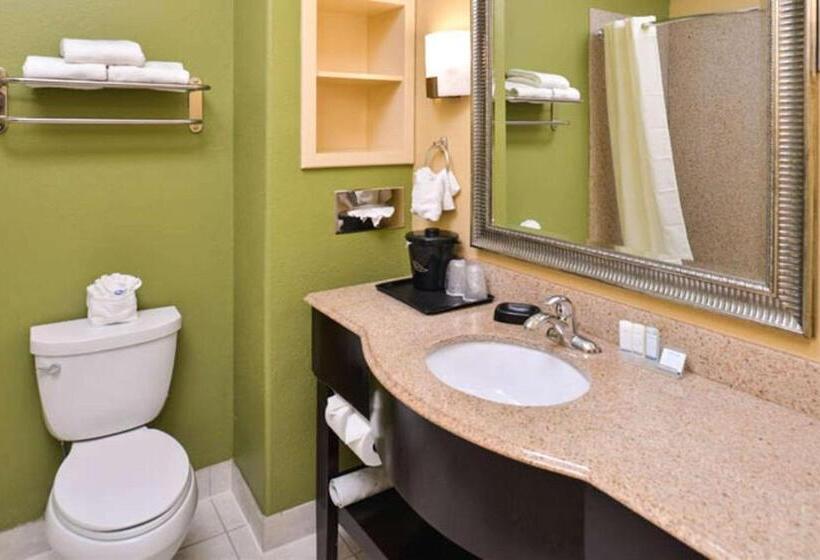スイート, Sleep Inn And Suites Downtown Houston