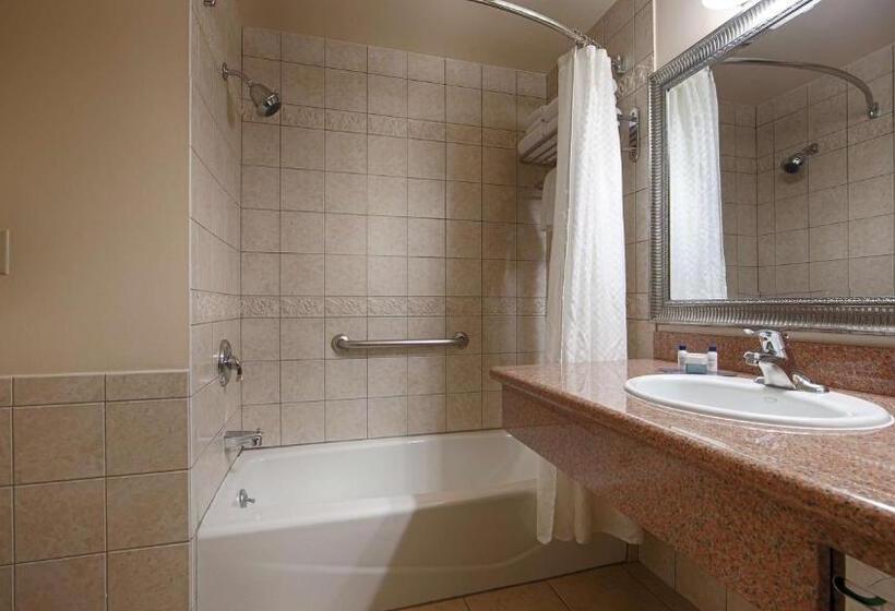 Номер Стандарт Адаптированный для Инвалидов, Best Western Plus Country Park