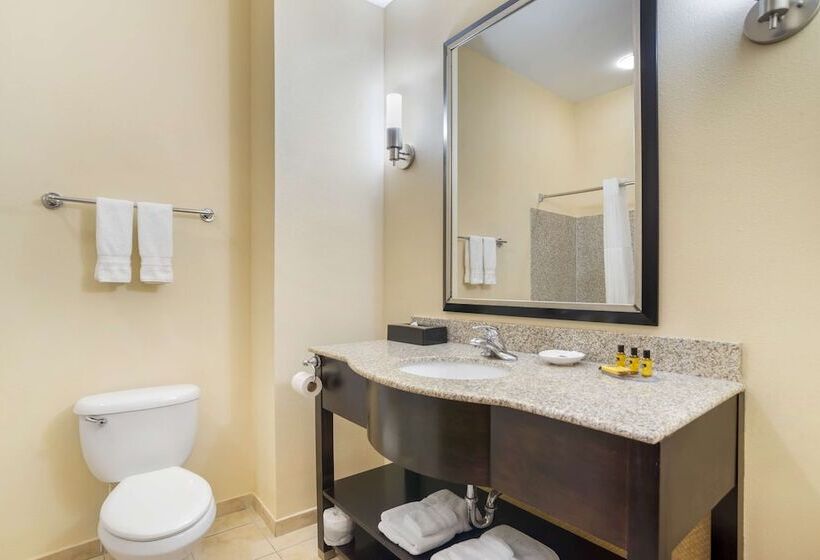 Люкс, Best Western Plus Flowood Inn & Suites