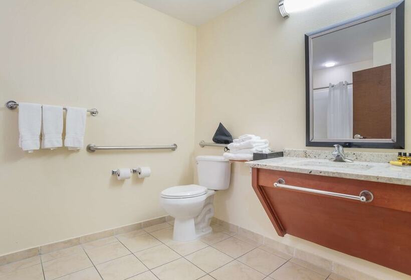 Люкс, Best Western Plus Flowood Inn & Suites