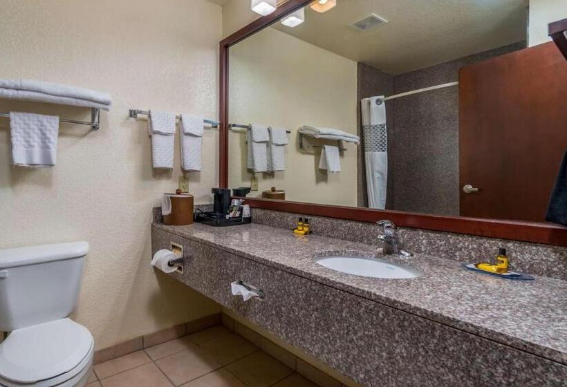 Стандартный Номер Кровать Кинг, Best Western Plus Shamrock Inn & Suites