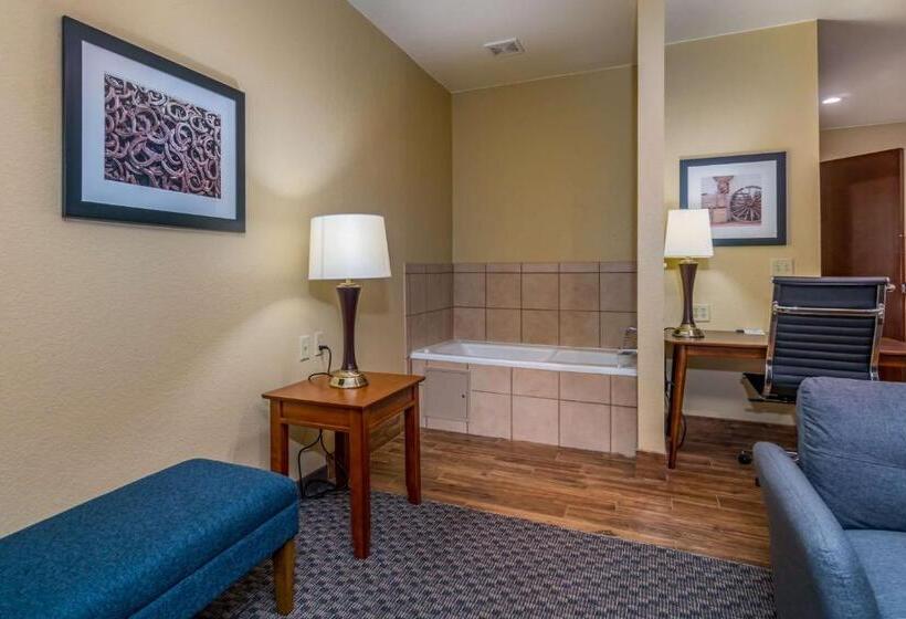 Номер Стандарт Кровать Квин Адаптированный для Инвалидов, Best Western Plus Shamrock Inn & Suites