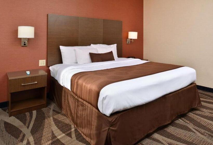 带大床的标准间, Best Western Plus University Inn