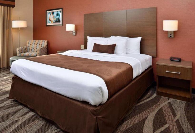 带大床的标准间, Best Western Plus University Inn