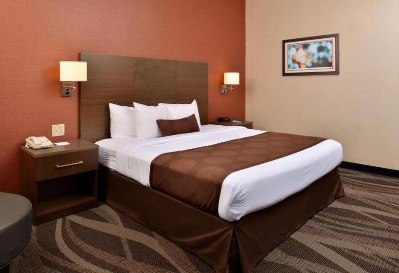 适合残疾人士使用的带超级大床的标准间, Best Western Plus University Inn