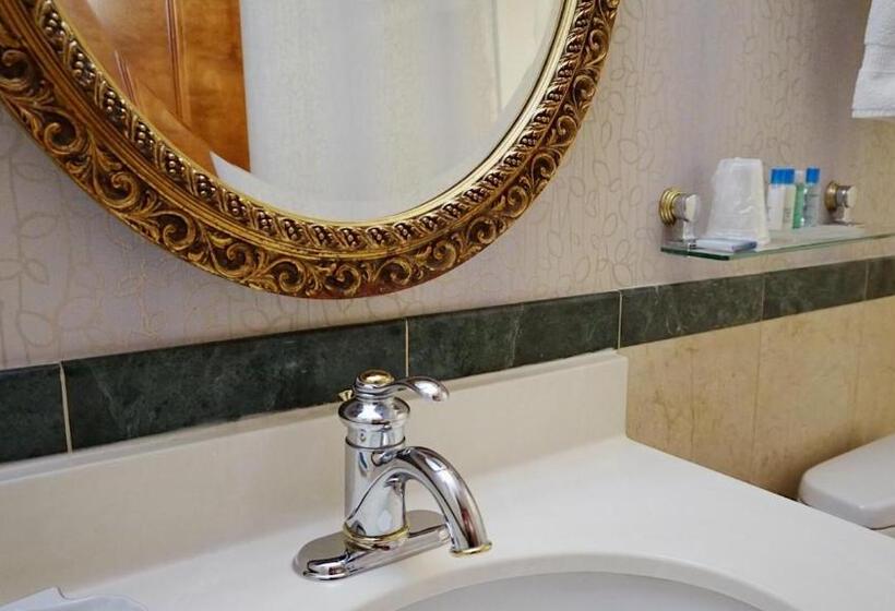 اتاق استاندارد برای معلولان, Best Western Queens Court