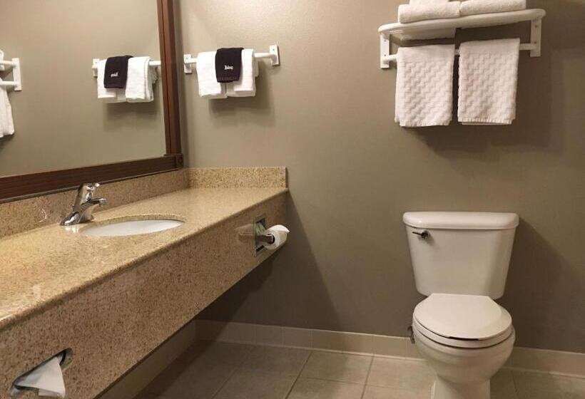 Стандартный Номер Кровать Кинг, Best Western Wheatland Inn