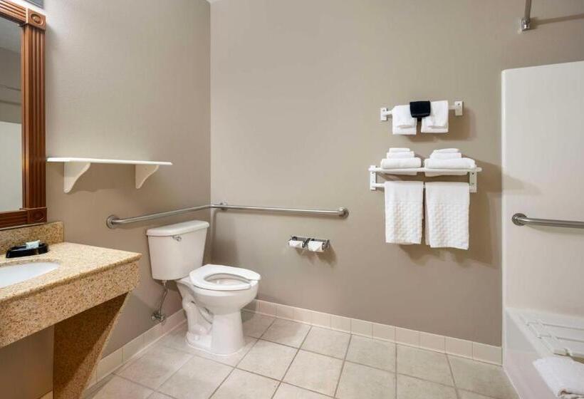 Номер Стандарт Кровать Кинг Адаптированный для Инвалидов, Best Western Wheatland Inn
