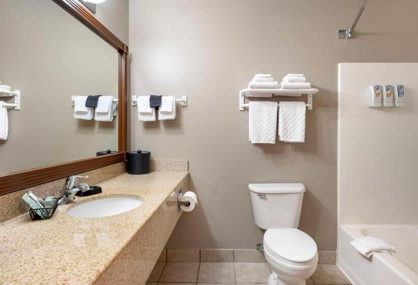 Номер Стандарт, Best Western Wheatland Inn