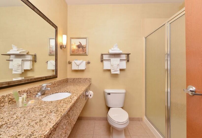 Номер Стандарт, Holiday Inn Laramie, An Ihg