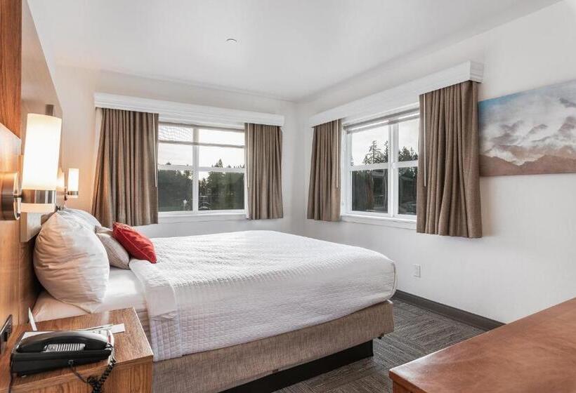 מיטת קינג בסוויטה, Marshall Suites
