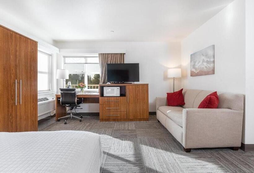 Люкс Кровать Кинг, Marshall Suites