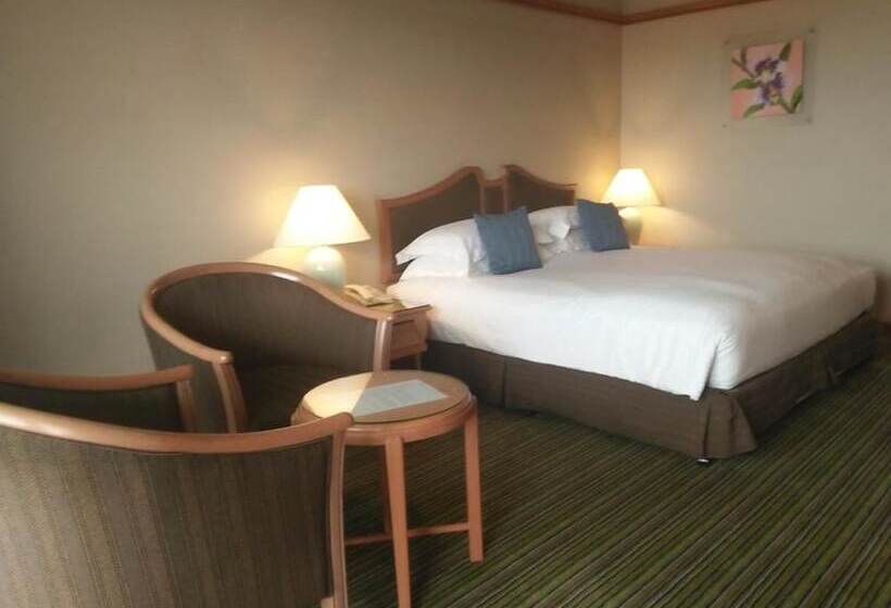 Номер Superior, Grand Palace