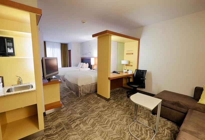 스위트, Springhill Suites By Marriott Albany Latham Colonie