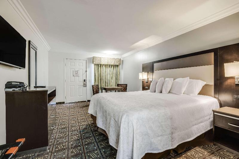 سوییت, Art Hotel Udine