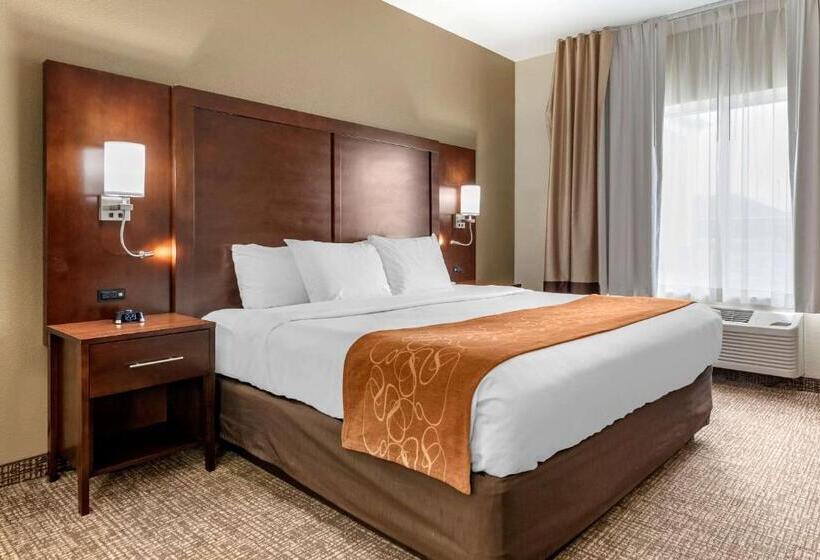 스위트 킹사이즈 침대, Comfort Suites Auburn Near I69