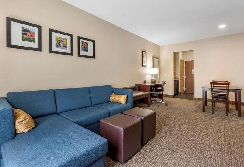 Люкс Кровать Кинг, Comfort Suites Auburn Near I69