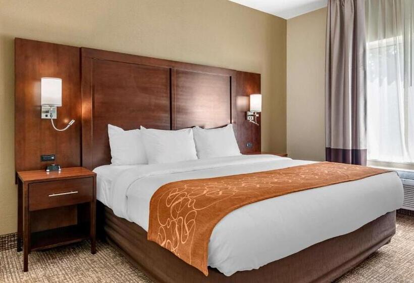 스위트 킹사이즈 침대, Comfort Suites Auburn Near I69