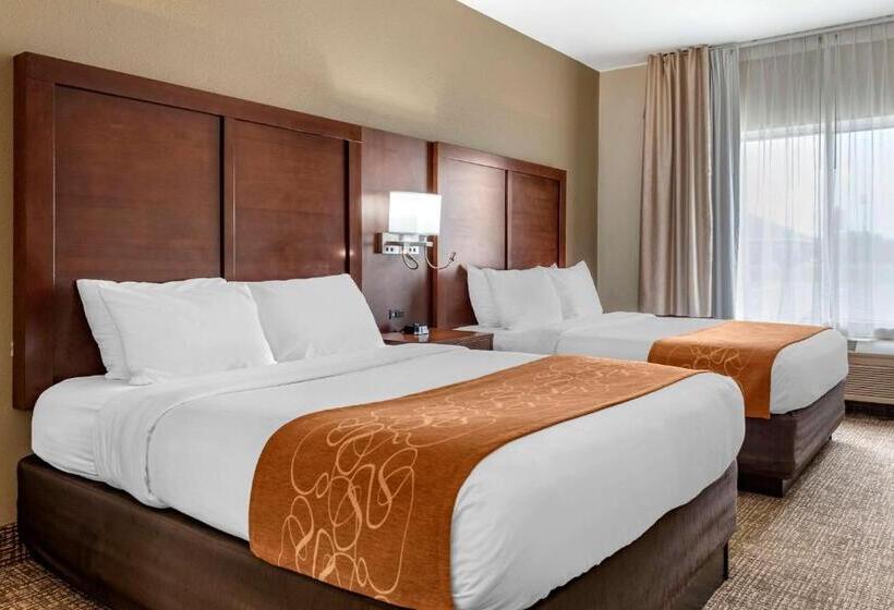 스위트, Comfort Suites Auburn Near I69