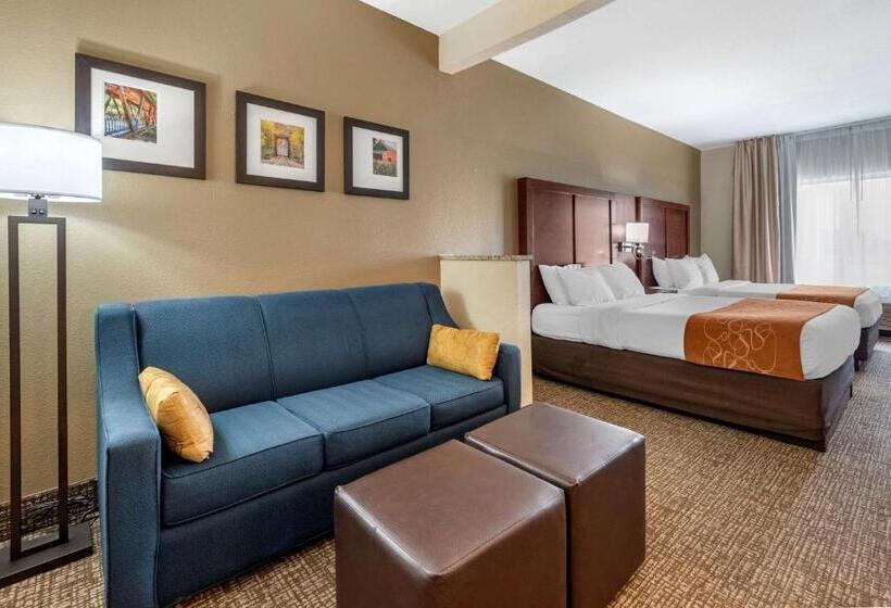 Люкс, Comfort Suites Auburn Near I69