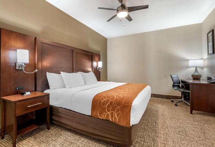 패밀리 룸, Comfort Suites Auburn Near I69