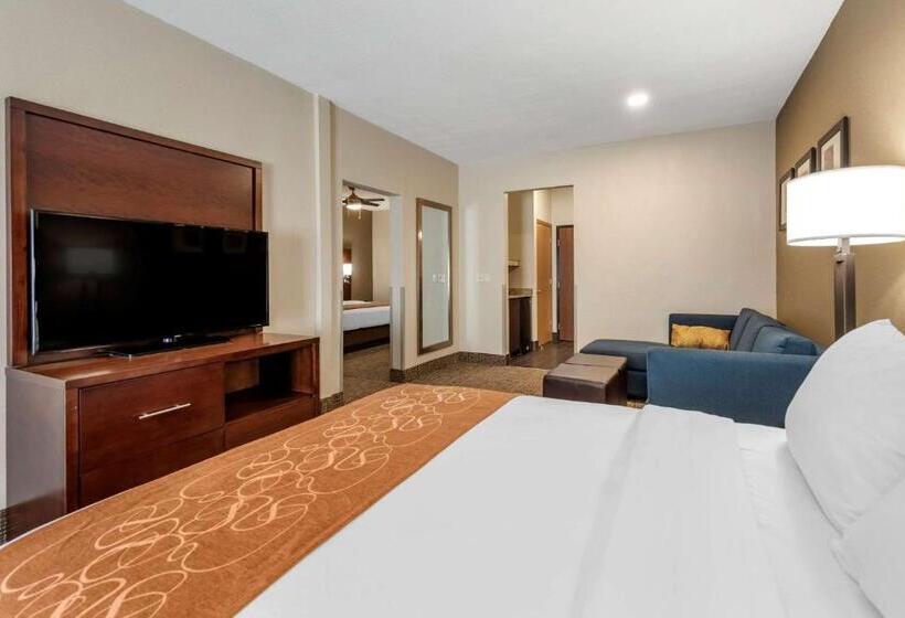 Семейный Номер, Comfort Suites Auburn Near I69