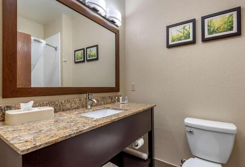 패밀리 룸, Comfort Suites Auburn Near I69