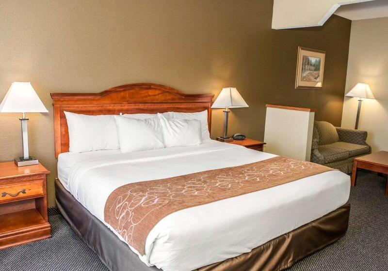 Люкс Кровать Кинг, Comfort Suites Auburn Near I69