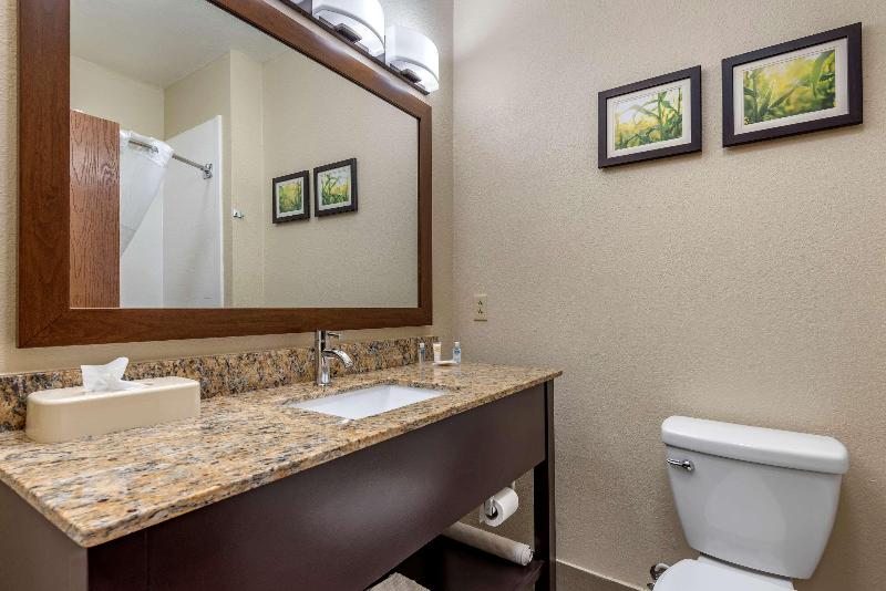 스위트 킹사이즈 침대, Comfort Suites Auburn Near I69