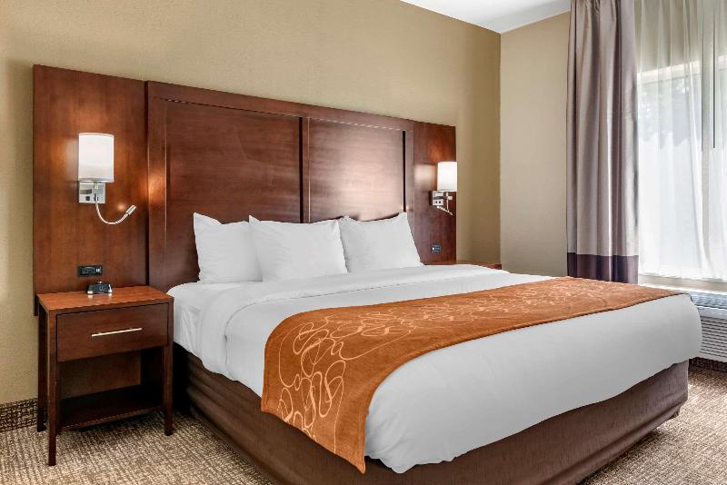 Люкс Кровать Кинг, Comfort Suites Auburn Near I69