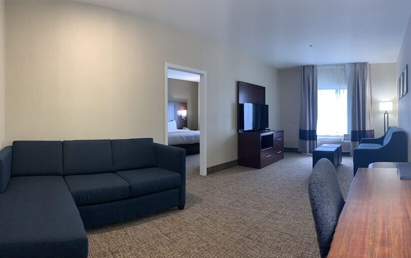 스위트, Comfort Suites Auburn Near I69