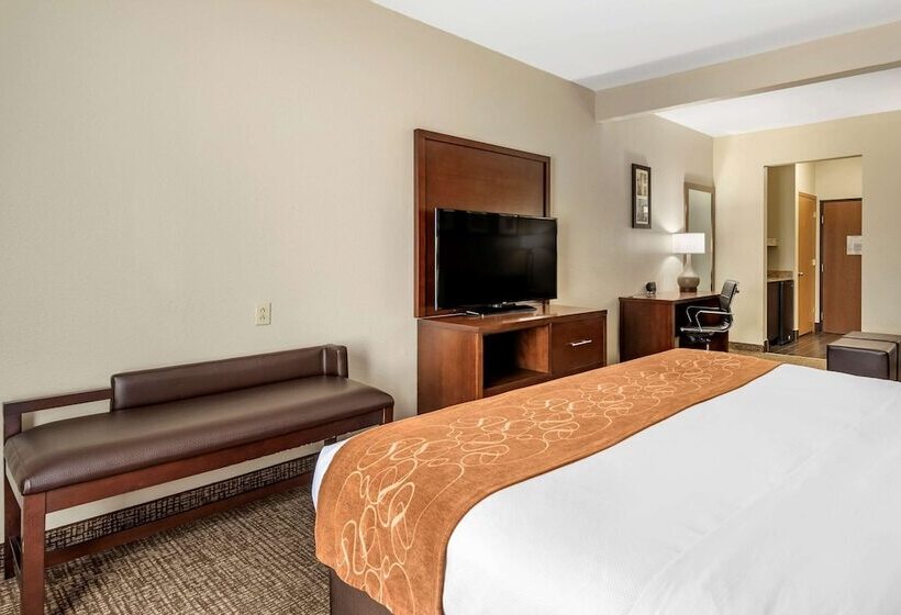 Люкс, Comfort Suites Auburn Near I69