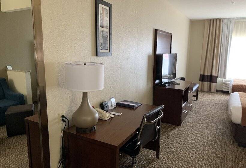스위트, Comfort Suites Auburn Near I69