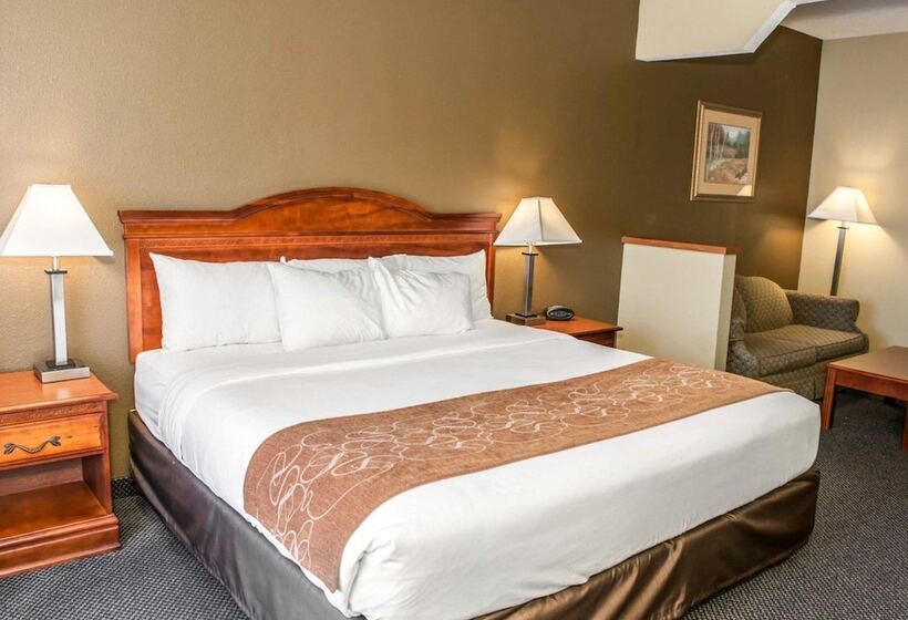Люкс, Comfort Suites Auburn Near I69