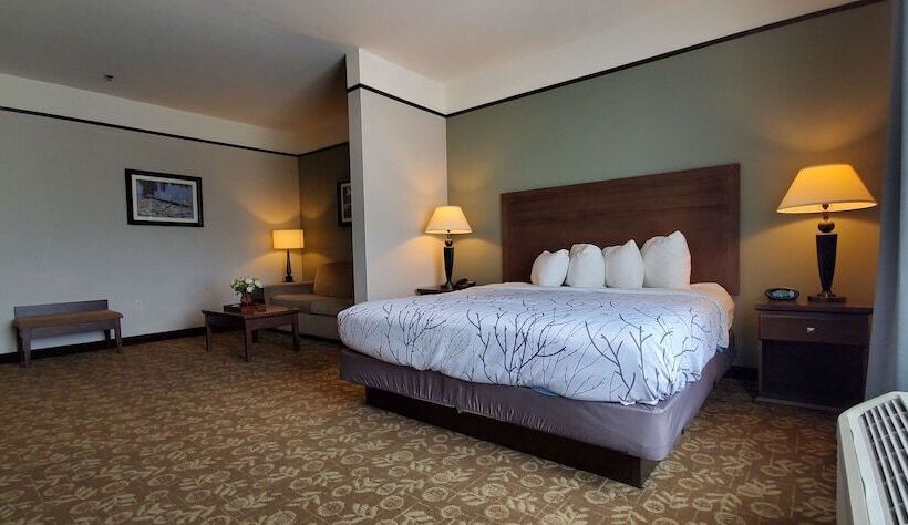 套房, Best Western Plus Emory At Lake Fork Inn & Suites